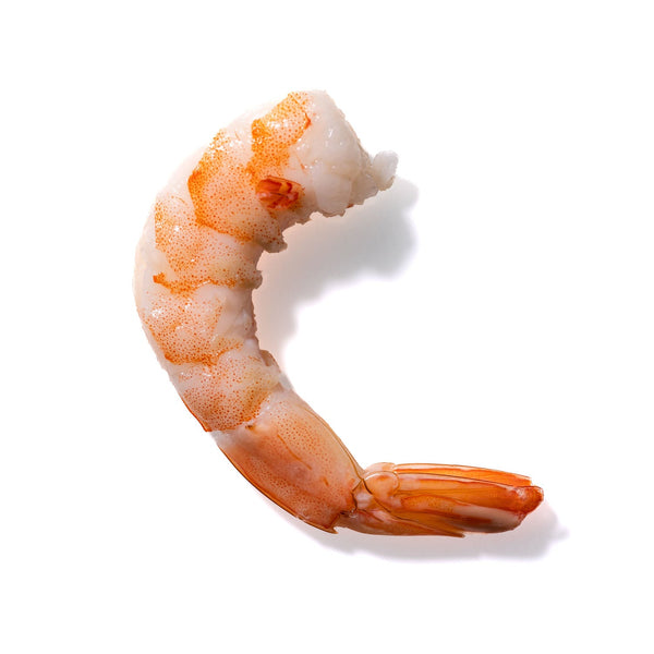 Shrimp No. 913