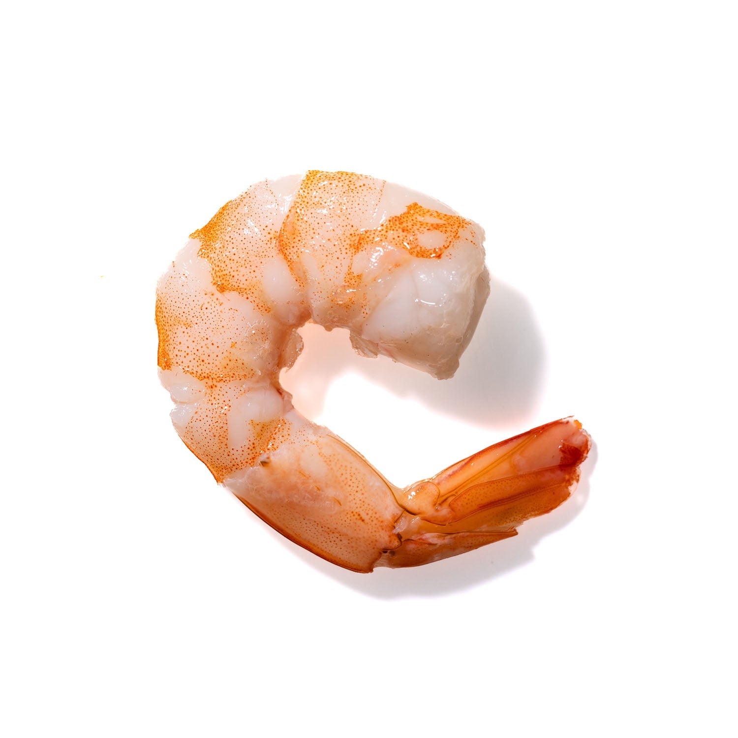 Shrimp No. 914