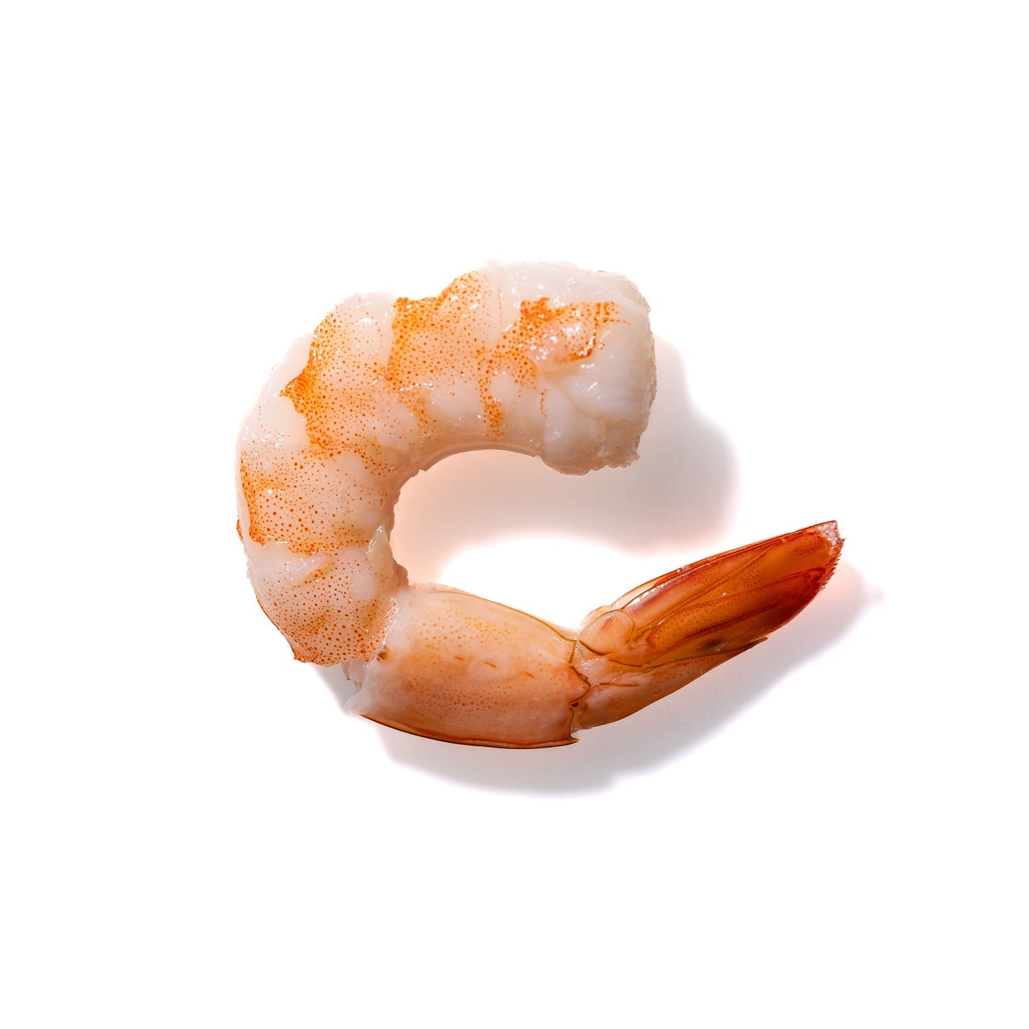 Shrimp No. 915