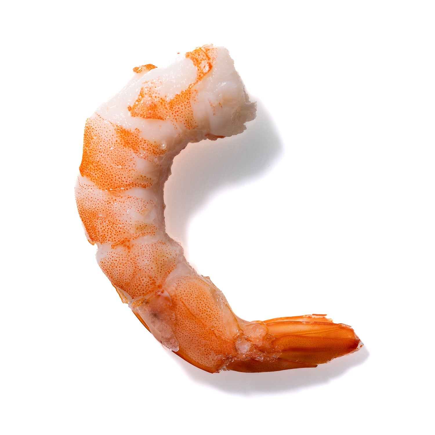 Shrimp No. 916