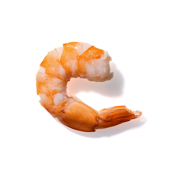 Shrimp No. 917