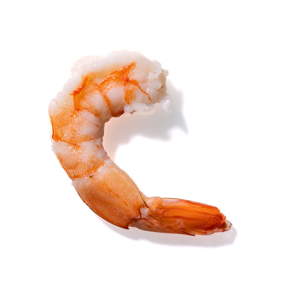 Shrimp No. 918