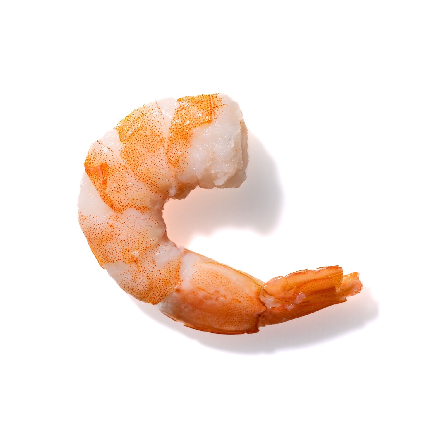 Shrimp No. 919