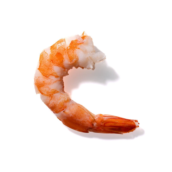 Shrimp No. 922