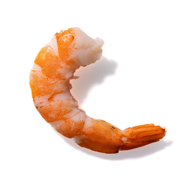 Shrimp No. 923