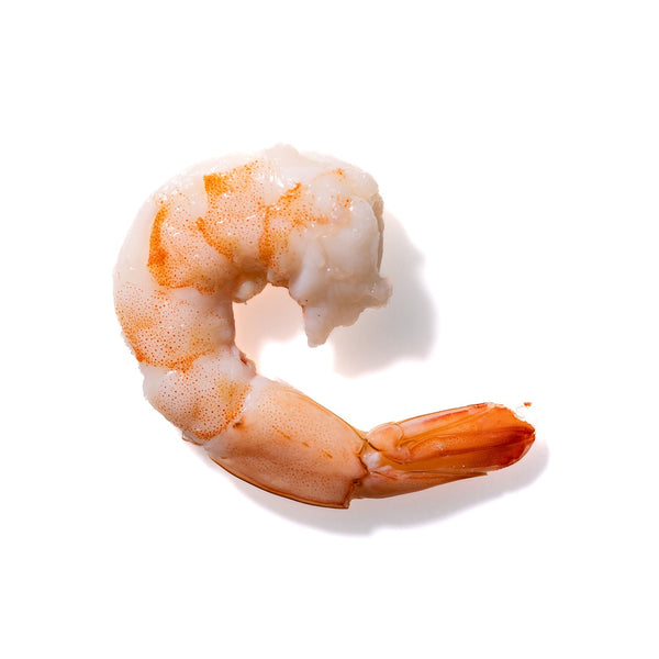 Shrimp No. 924