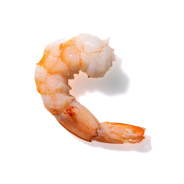 Shrimp No. 925