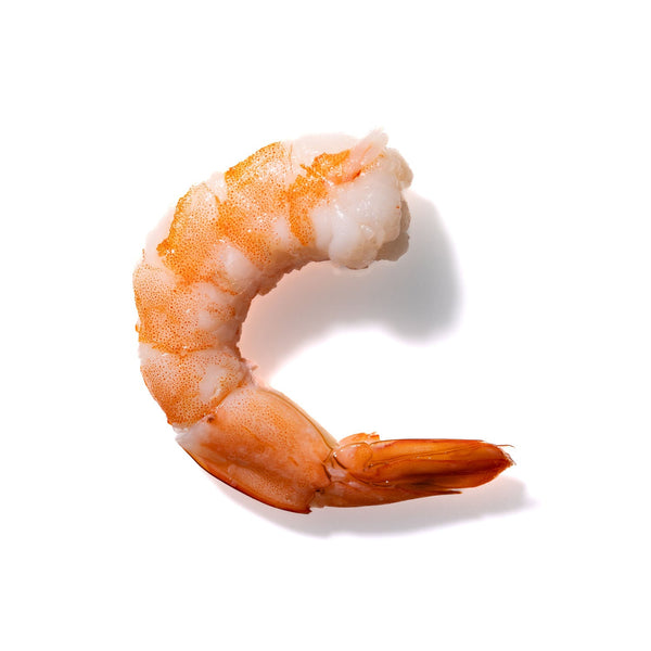 Shrimp No. 926