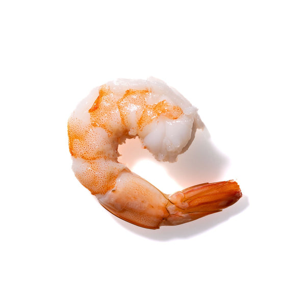 Shrimp No. 927