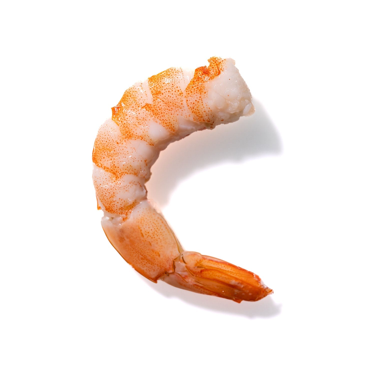 Shrimp No. 929