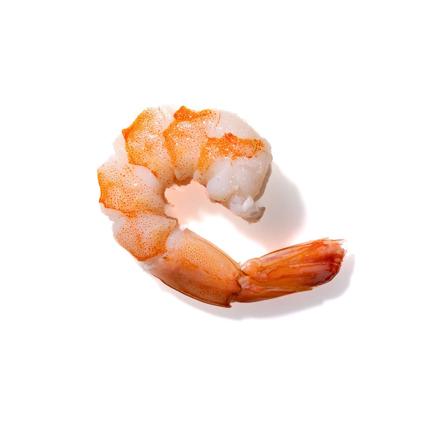 Shrimp No. 932