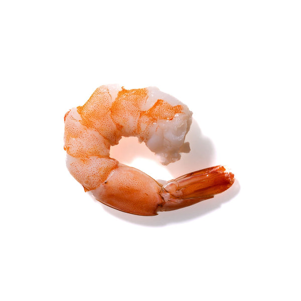 Shrimp No. 933