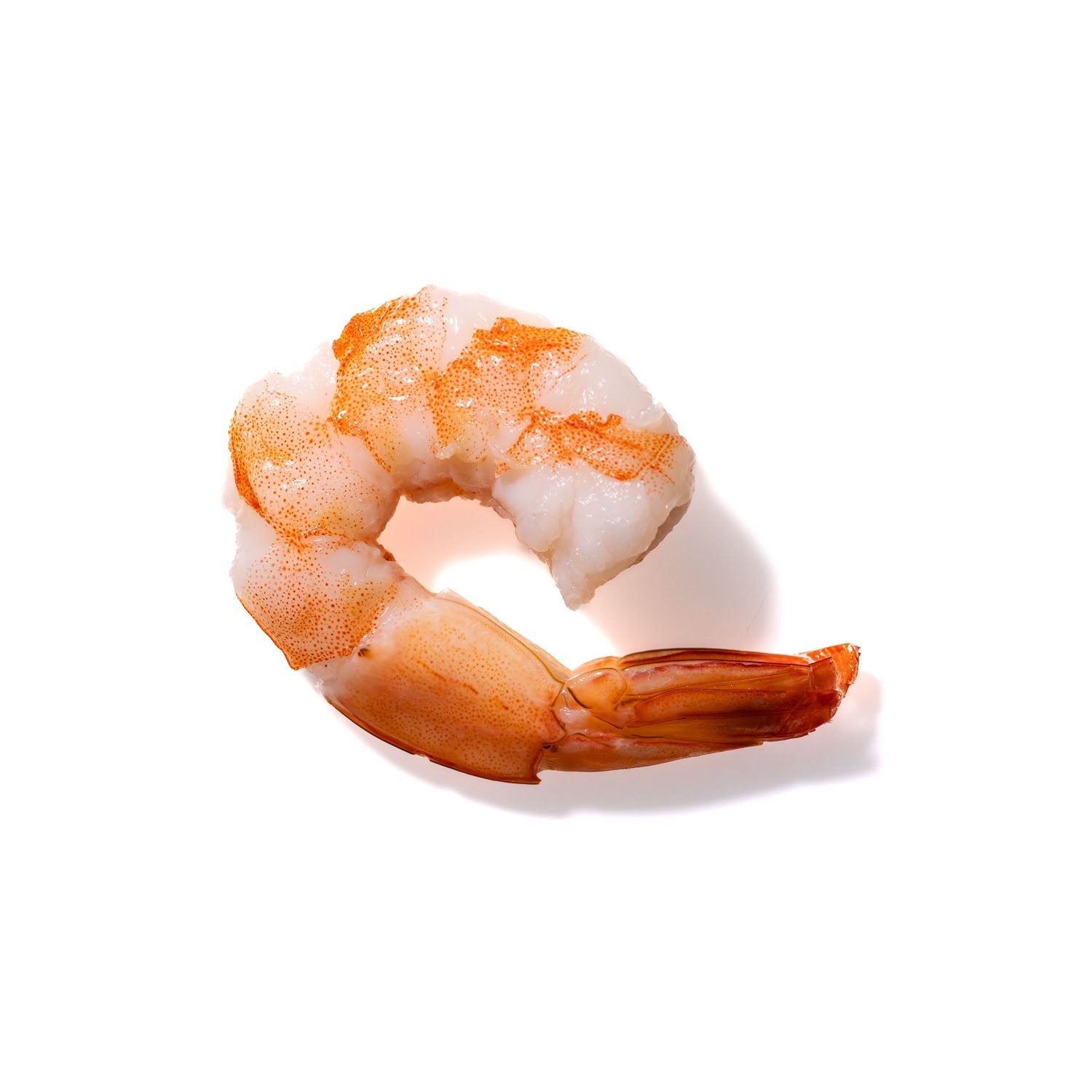 Shrimp No. 936