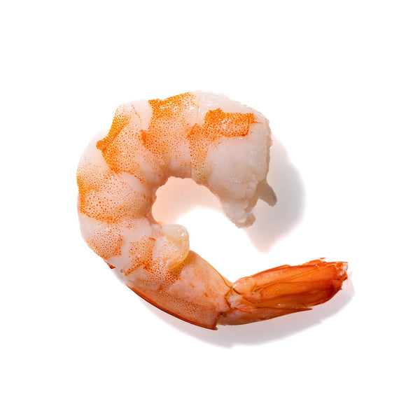 Shrimp No. 938