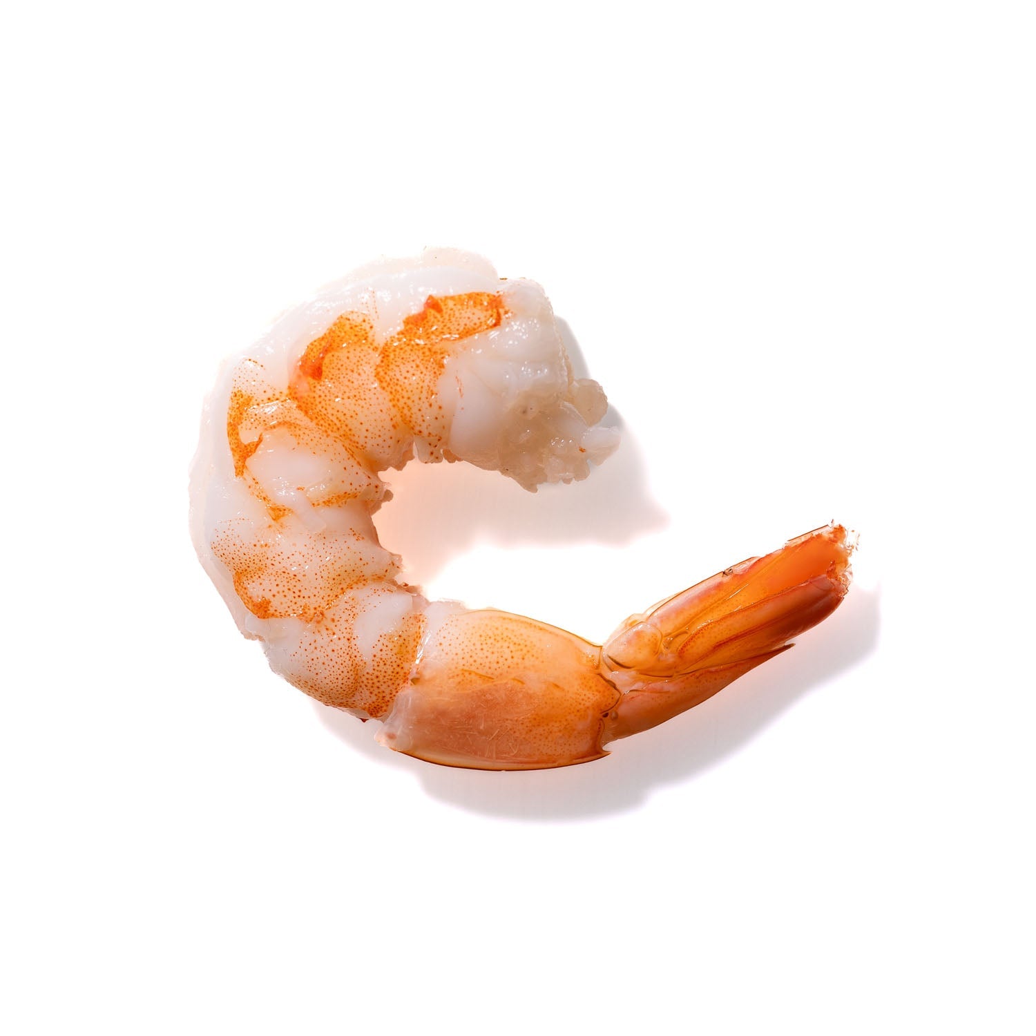 Shrimp No. 940