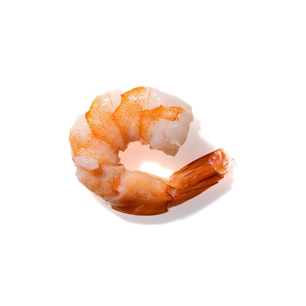 Shrimp No. 941