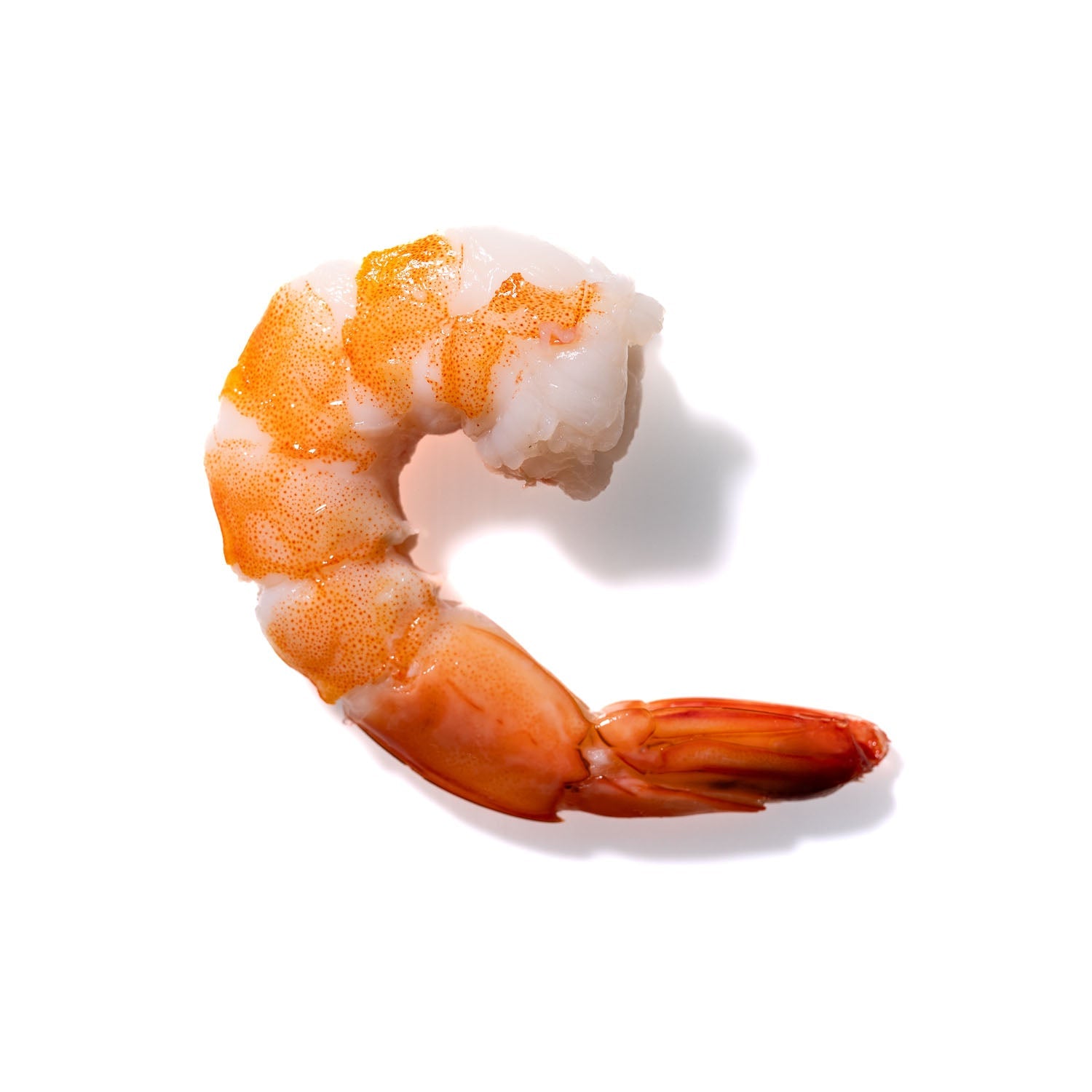 Shrimp No. 945