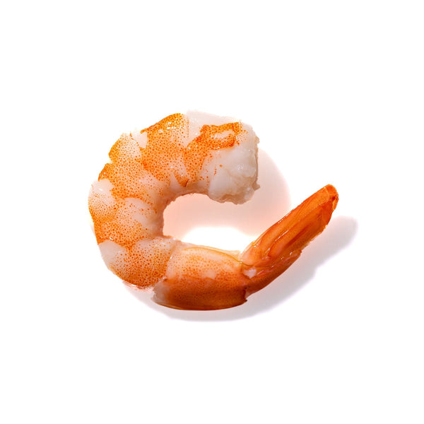 Shrimp No. 949