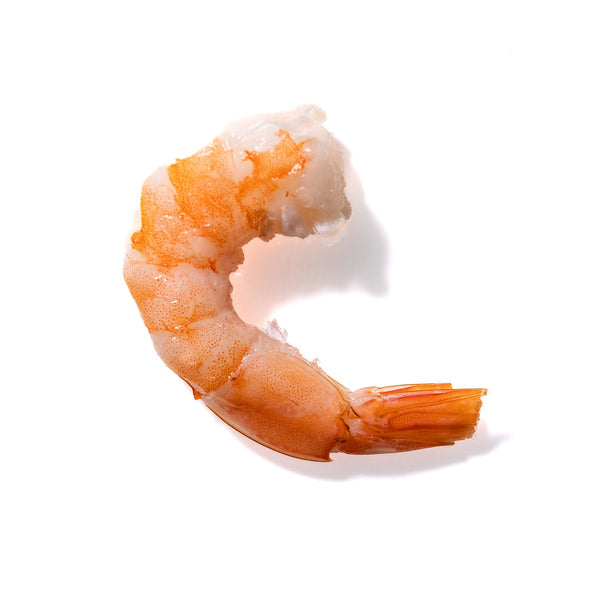 Shrimp No. 950