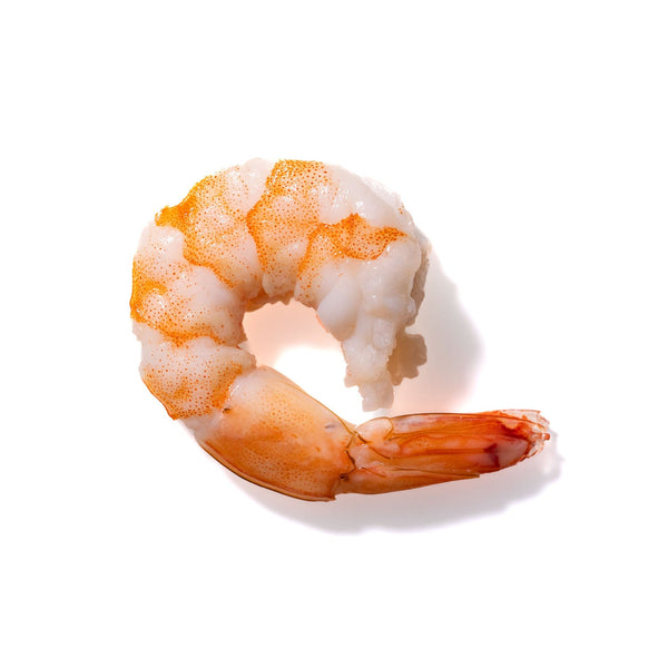 Shrimp No. 953