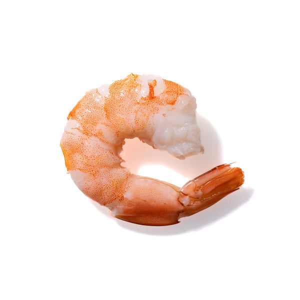 Shrimp No. 957