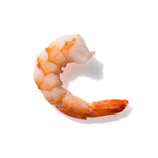 Shrimp No. 958