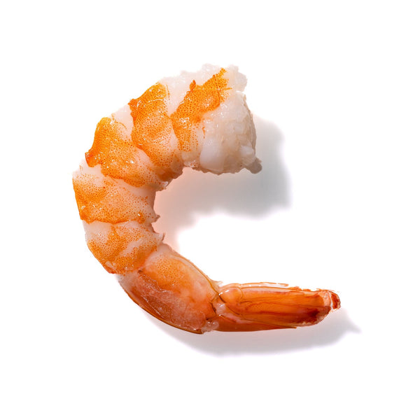 Shrimp No. 959