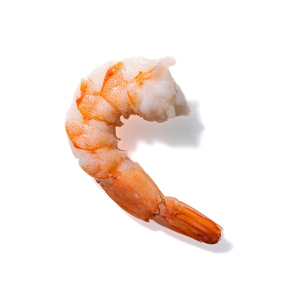 Shrimp No. 960