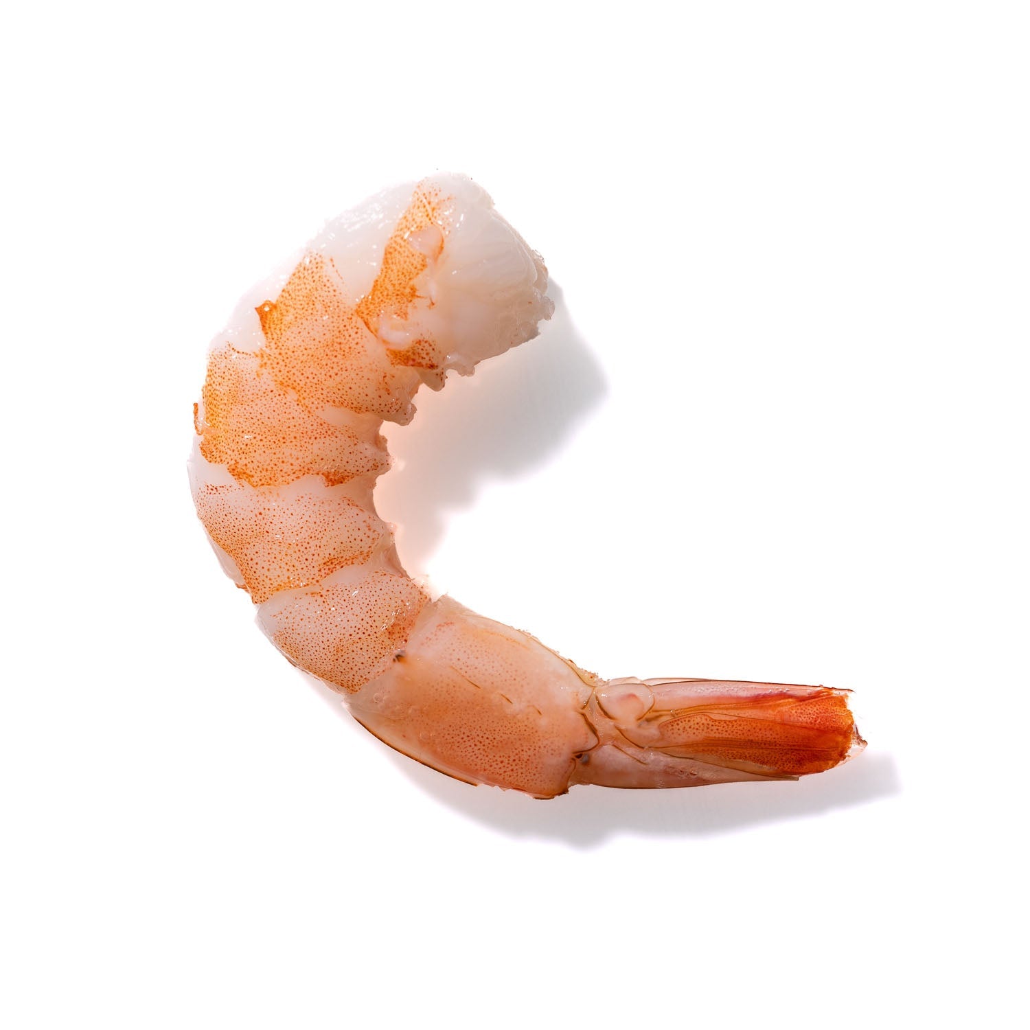 Shrimp No. 961