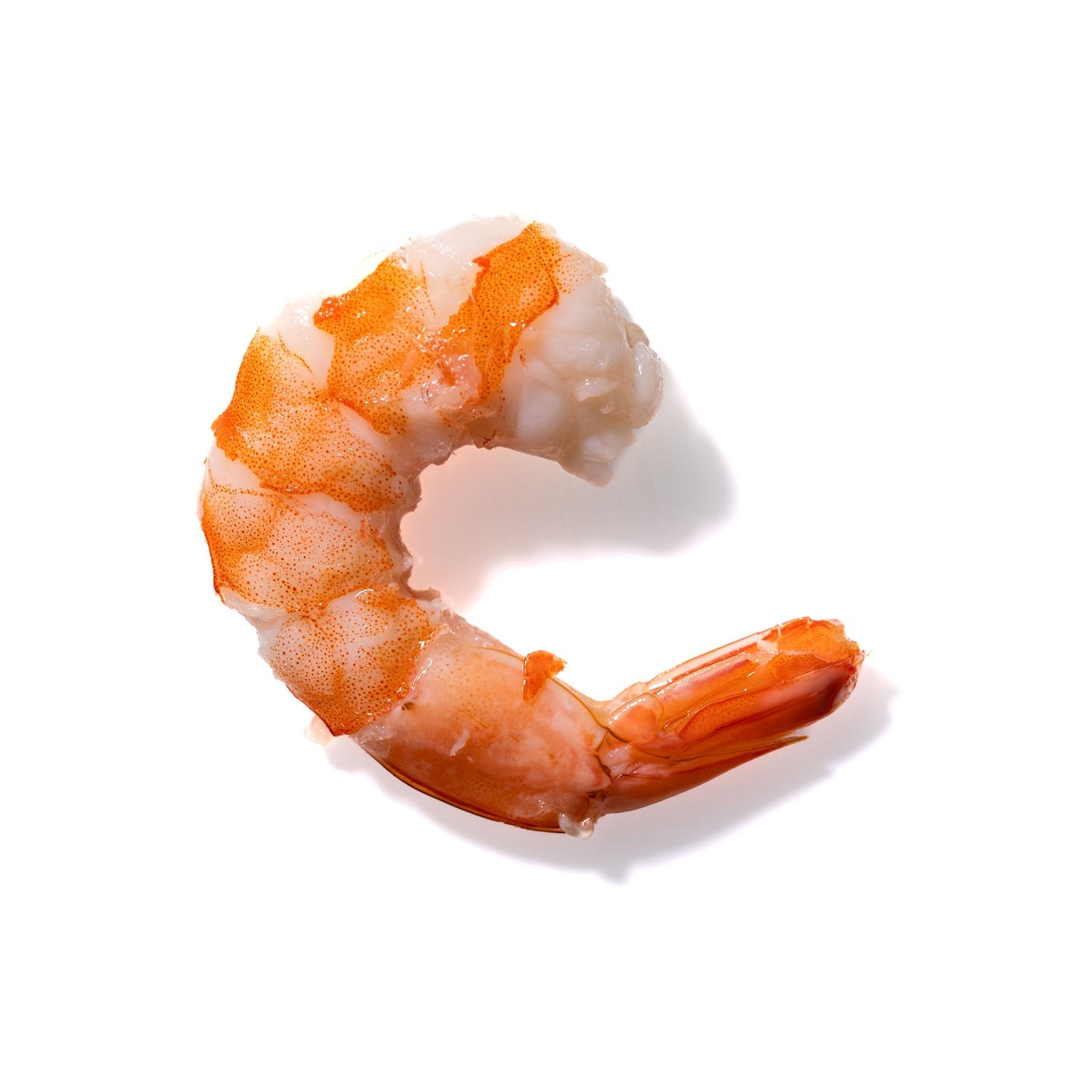 Shrimp No. 962