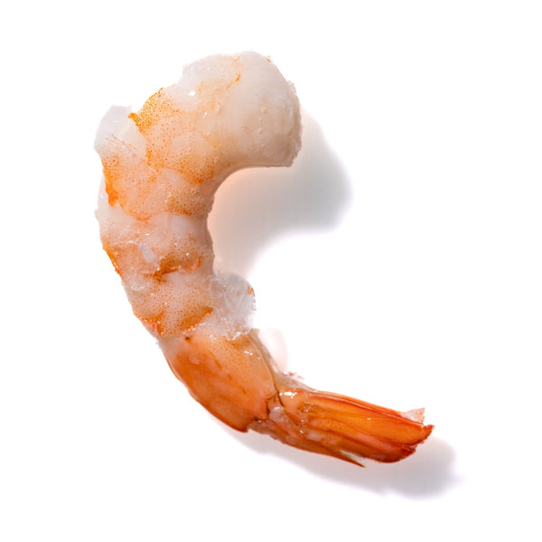 Shrimp No. 963