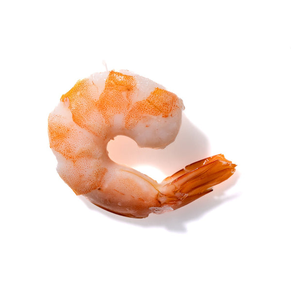 Shrimp No. 965