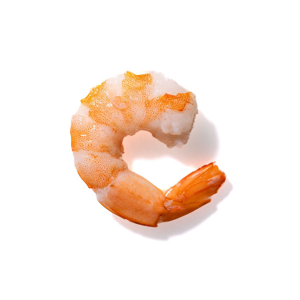 Shrimp No. 966