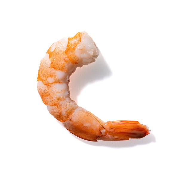 Shrimp No. 969