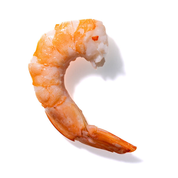 Shrimp No. 970