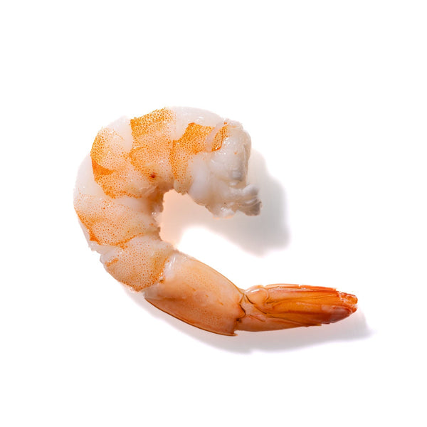 Shrimp No. 971