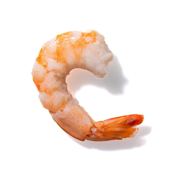 Shrimp No. 975