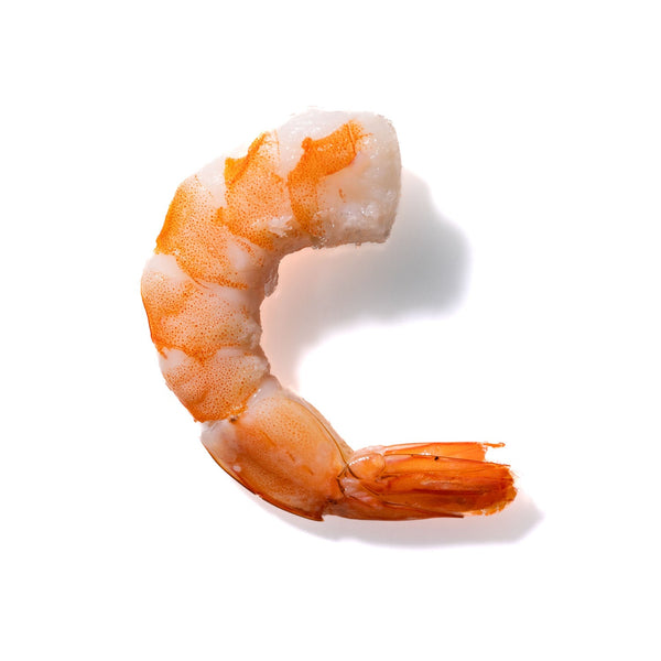 Shrimp No. 977