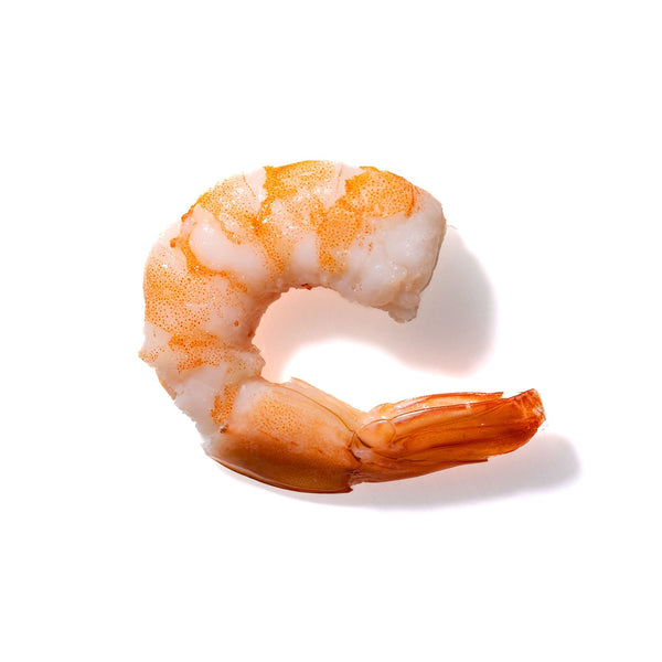 Shrimp No. 978