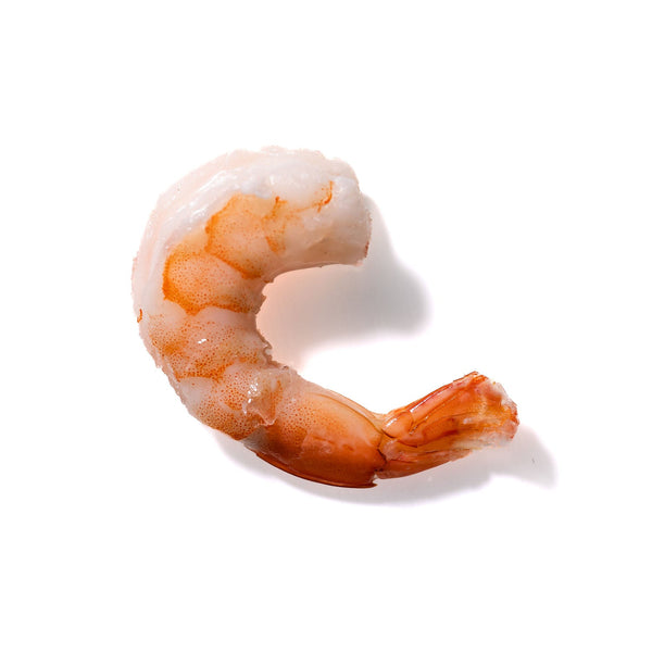 Shrimp No. 979