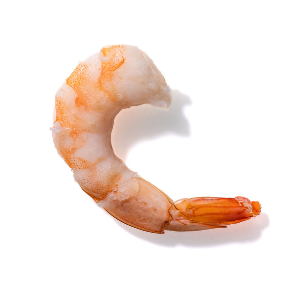 Shrimp No. 980