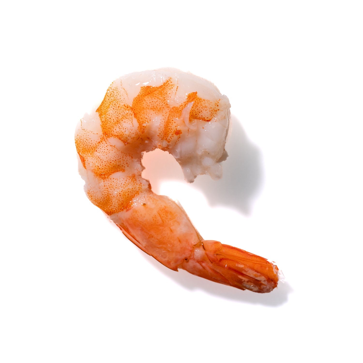 Shrimp No. 984