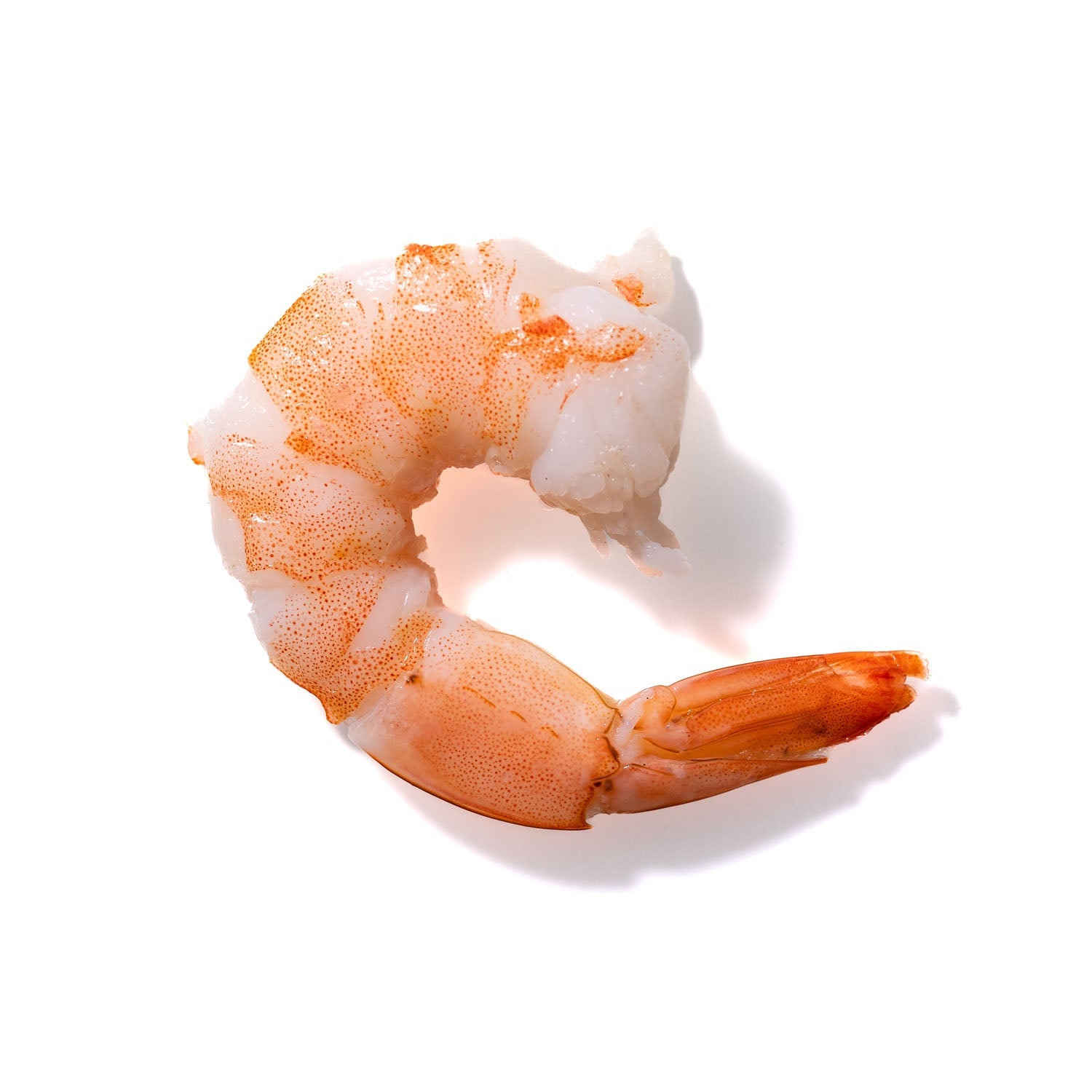 Shrimp No. 988