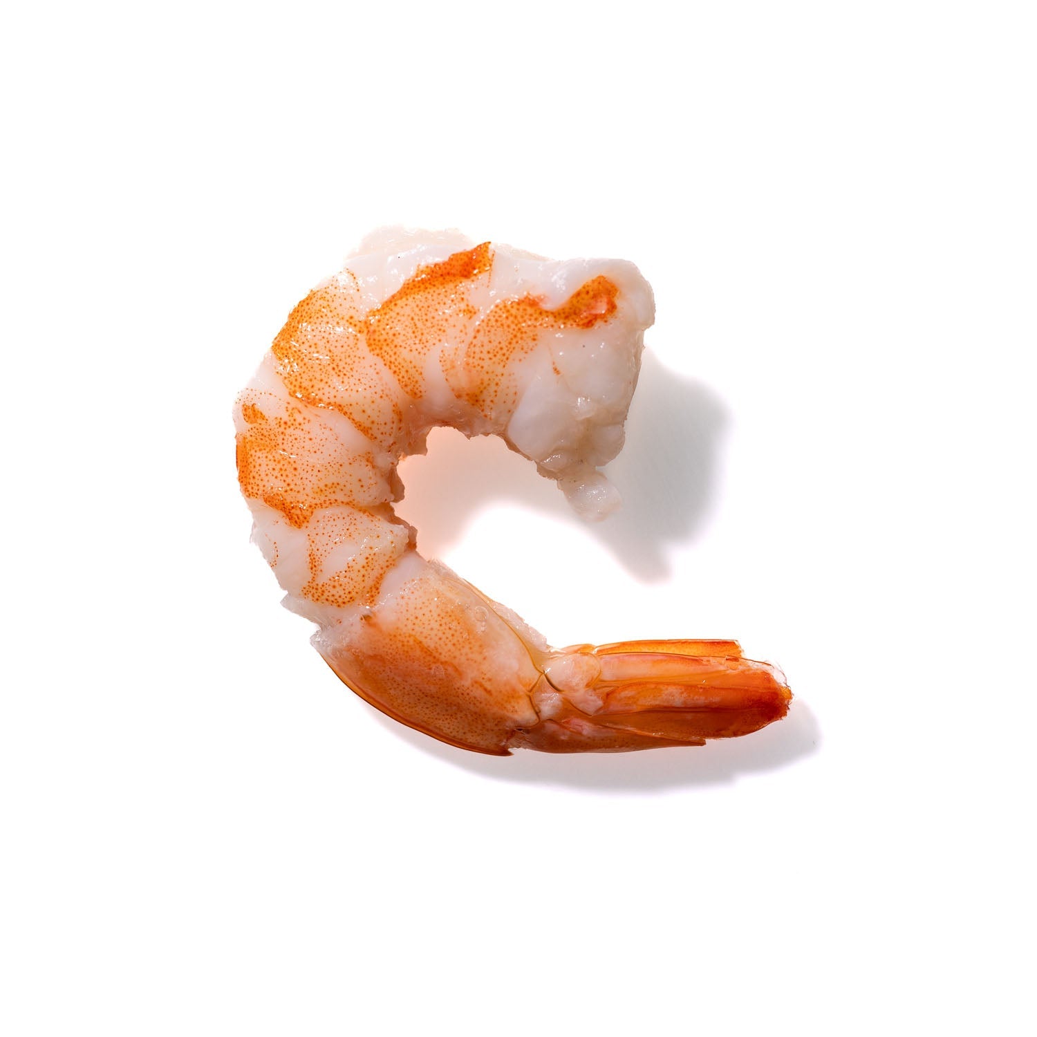 Shrimp No. 989