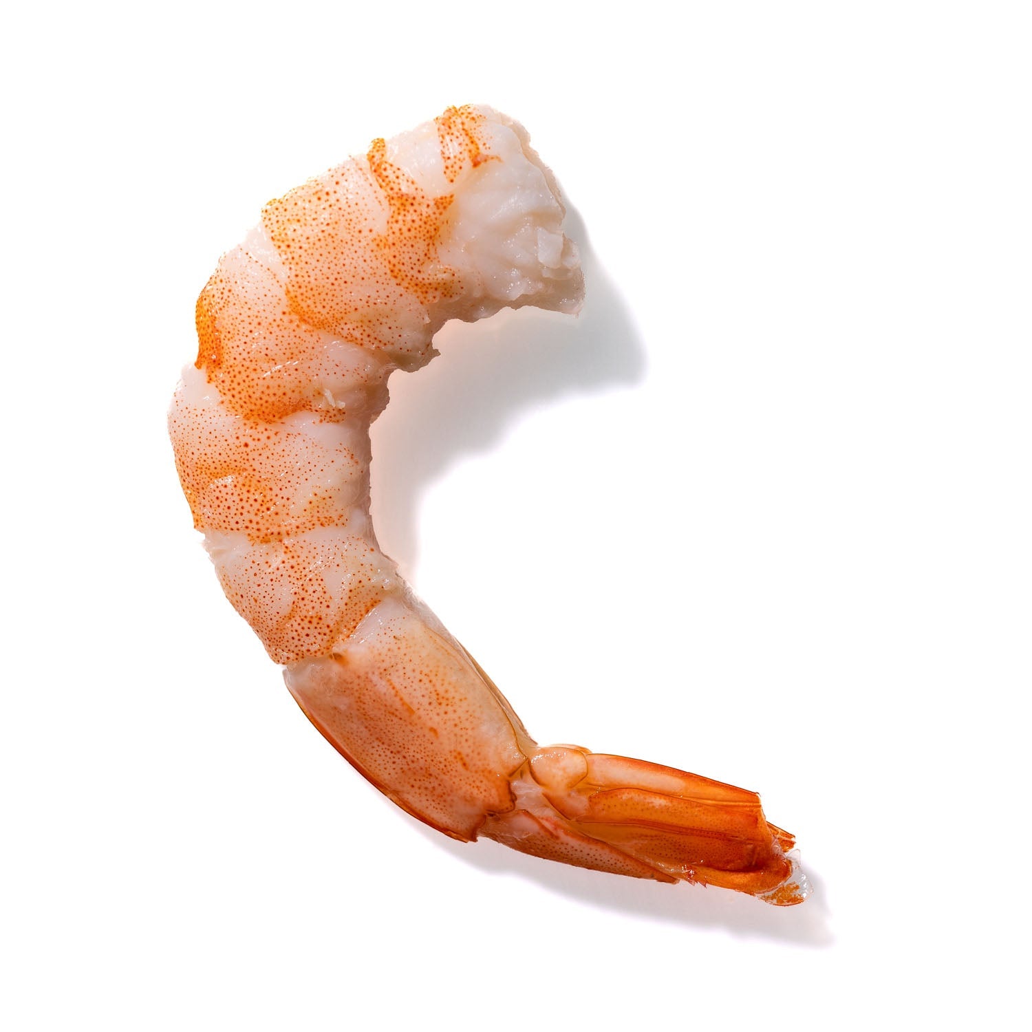 Shrimp No. 990