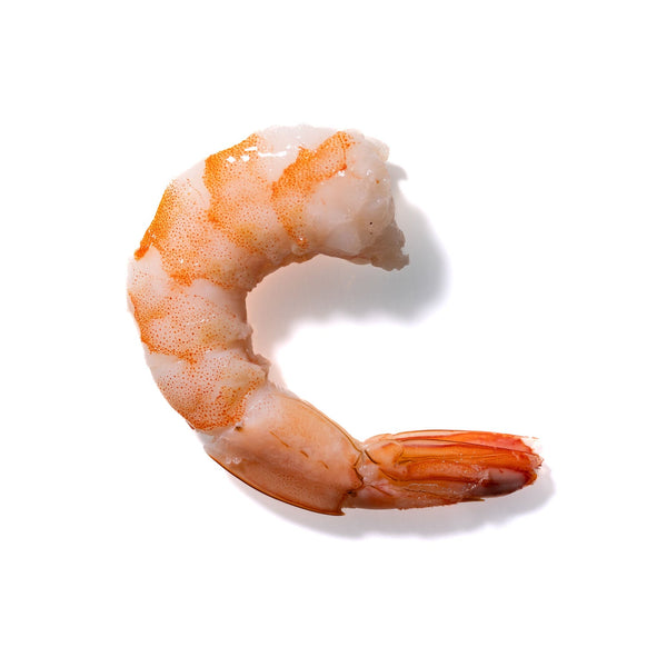 Shrimp No. 991