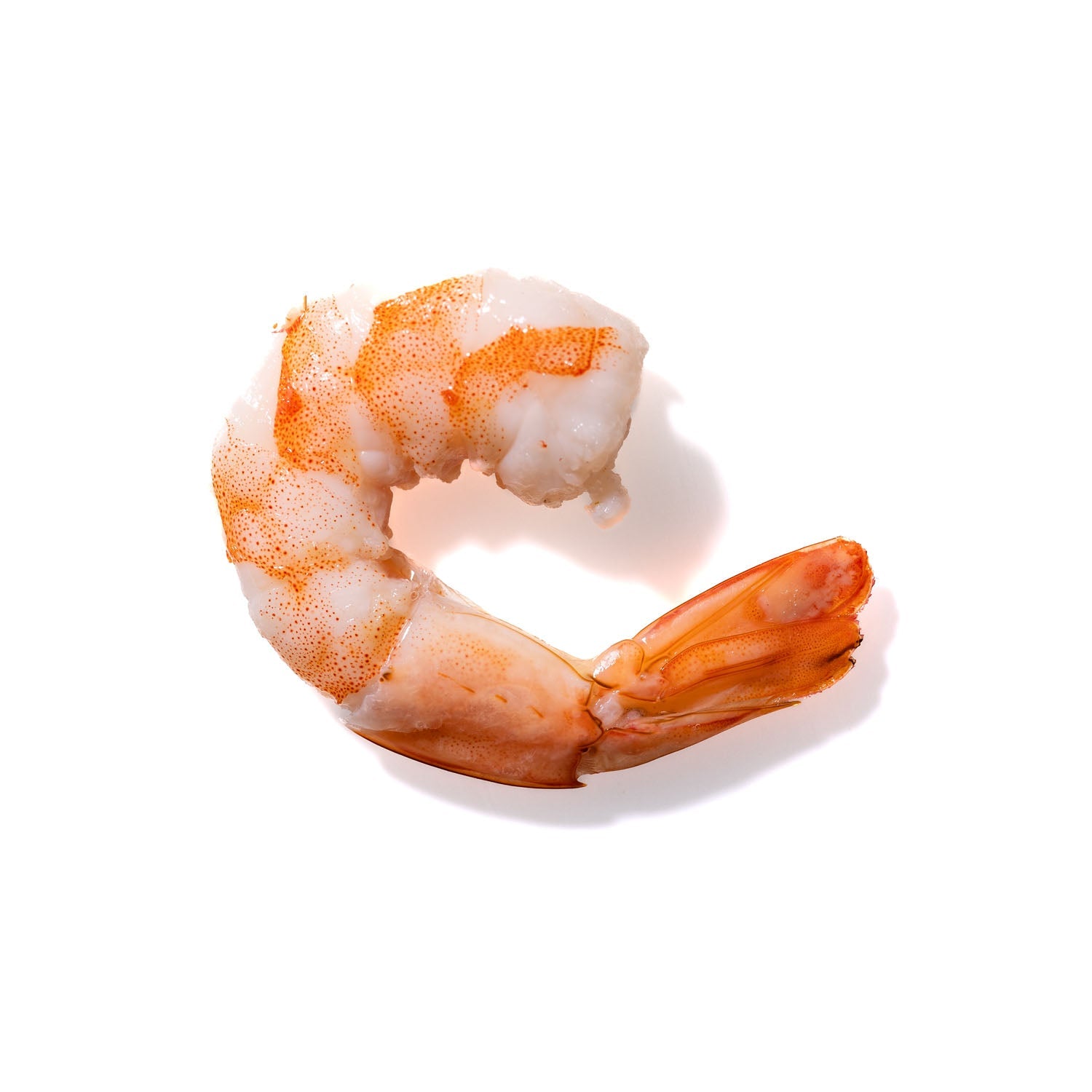 Shrimp No. 992