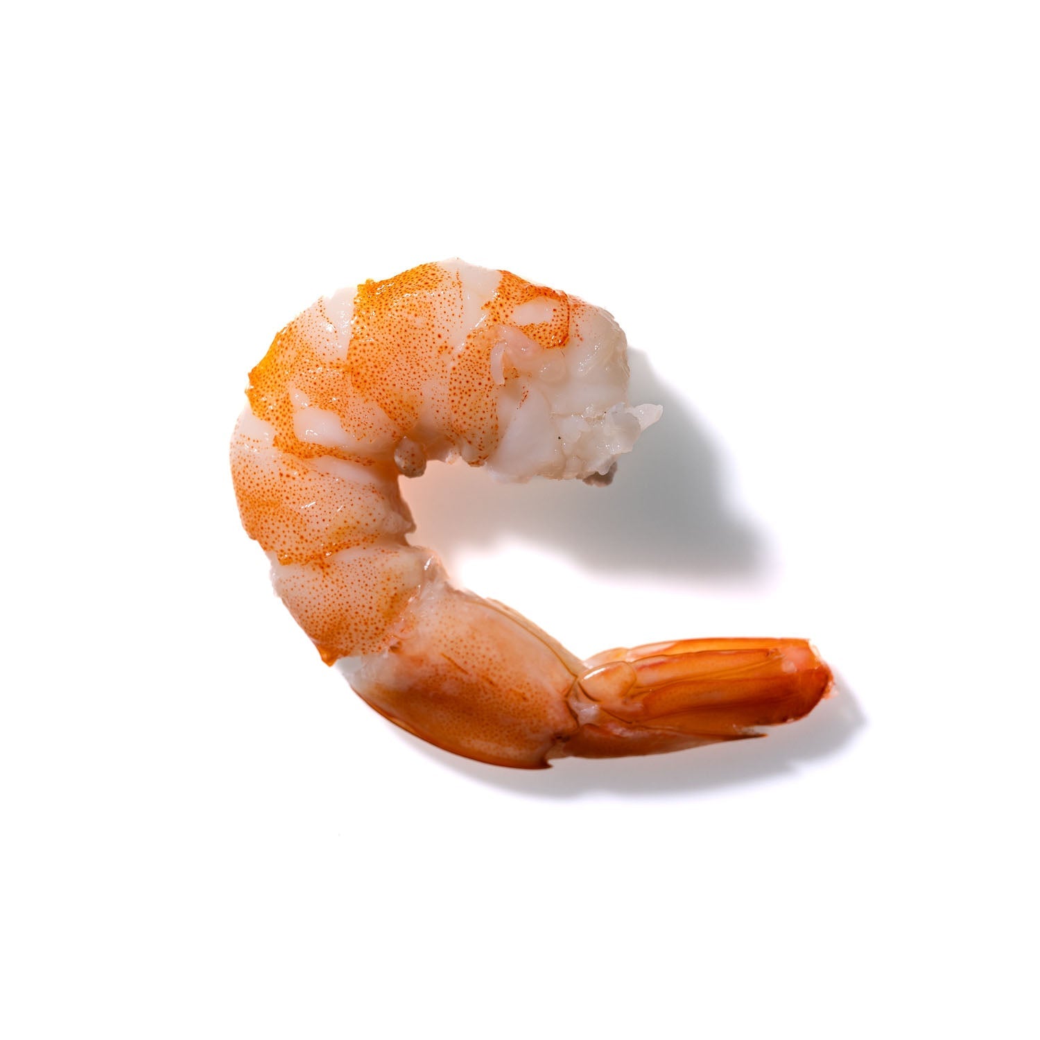 Shrimp No. 993