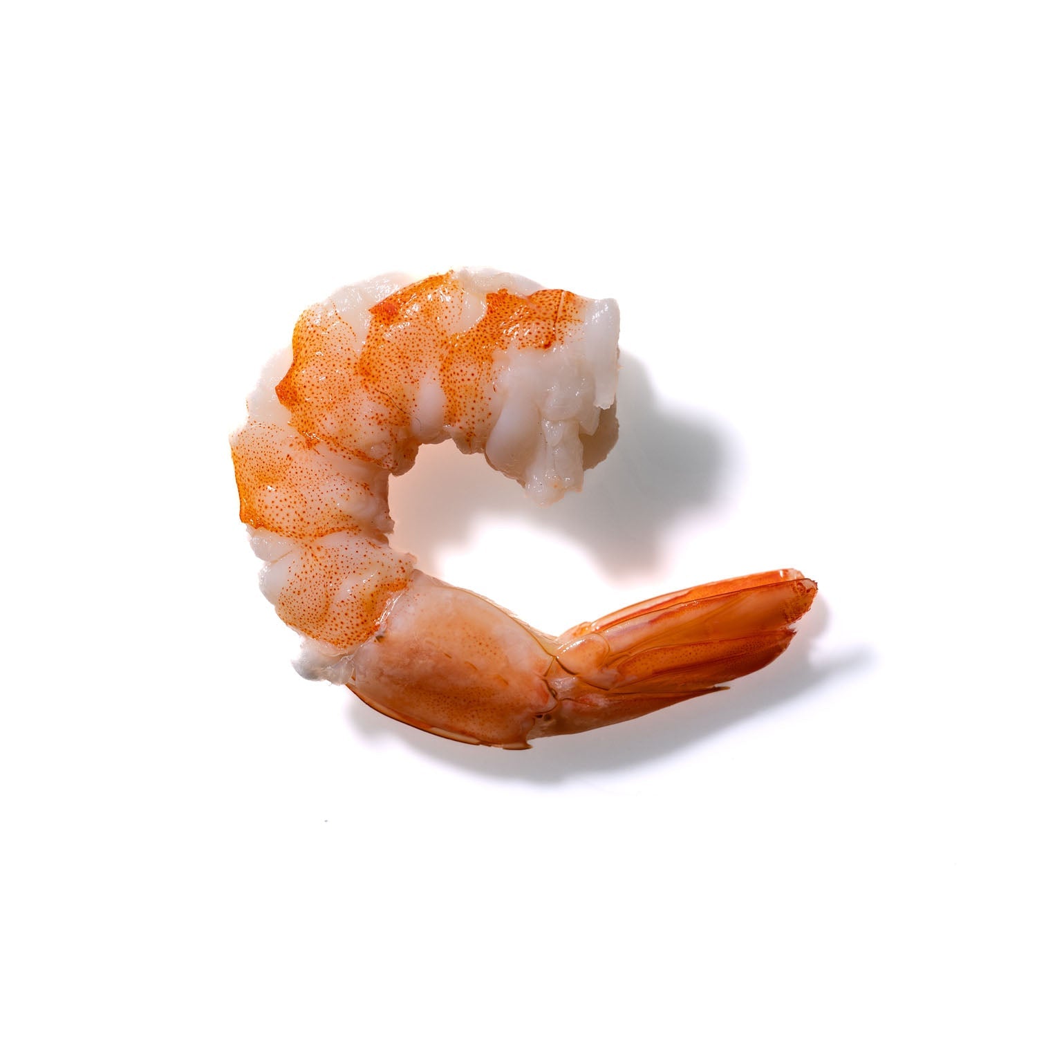 Shrimp No. 994