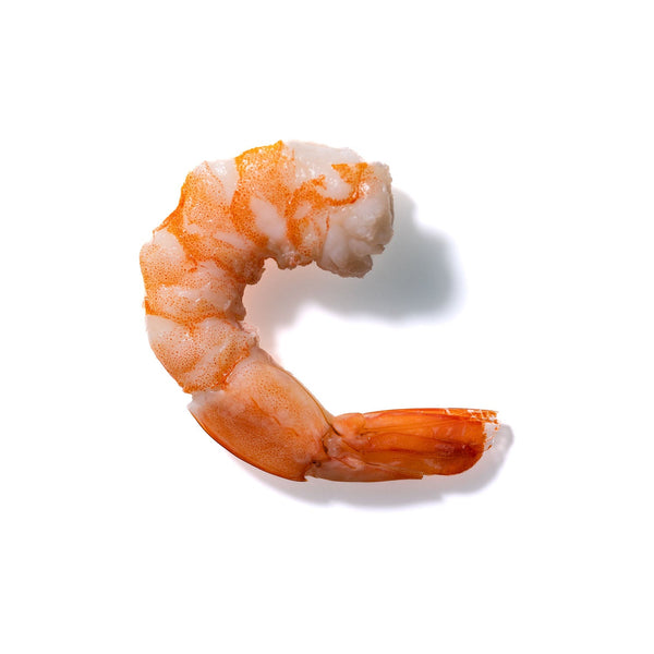 Shrimp No. 997